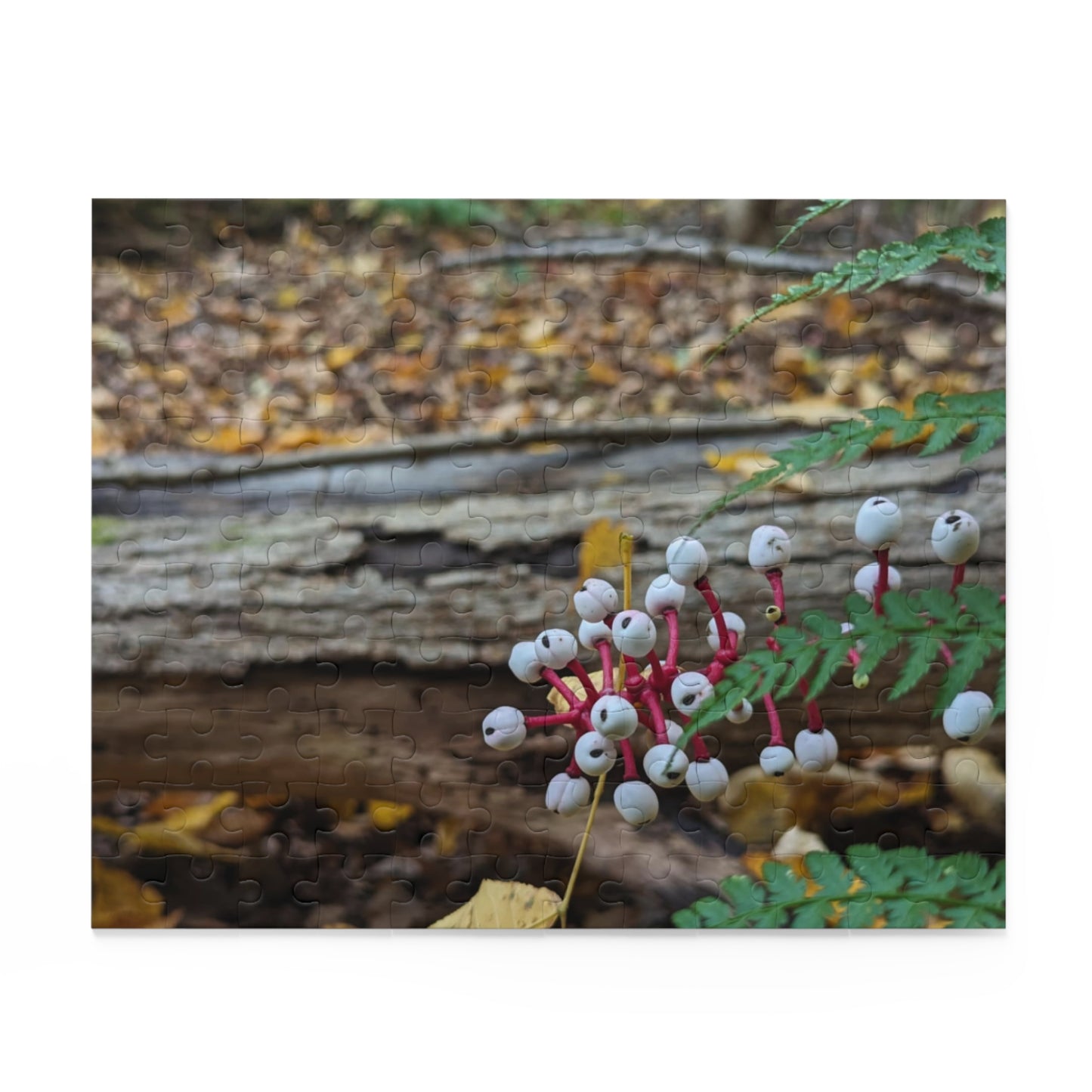 Baneberry Puzzle (Savor The Moment Collection 120, 252, 500-Piece)