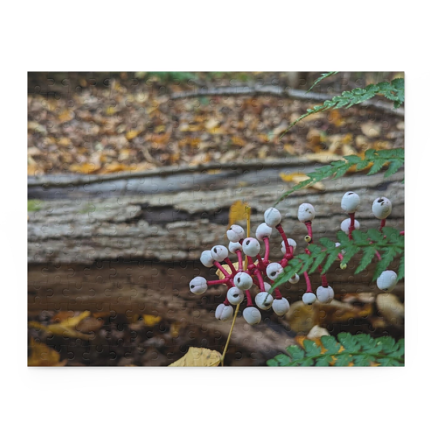 Baneberry Puzzle (Savor The Moment Collection 120, 252, 500-Piece)