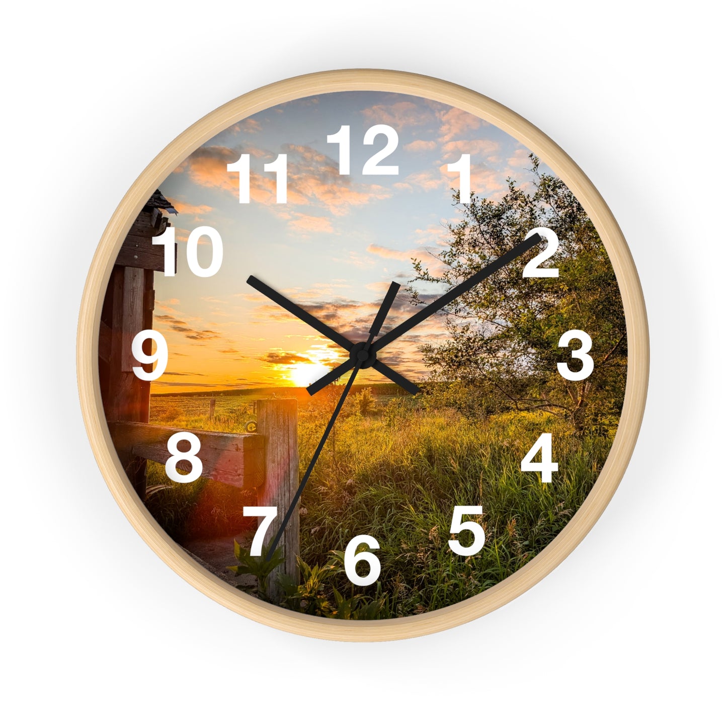 Fence Clock (SP Photography Collection)