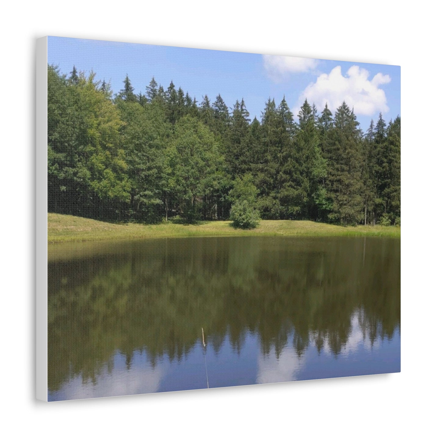 Reflection Gallery Wrap Canvas (B & J Collectons)