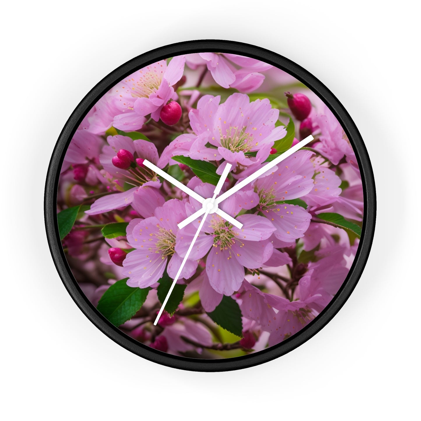 Cherry Blossom Clock (SP Photography Collection)