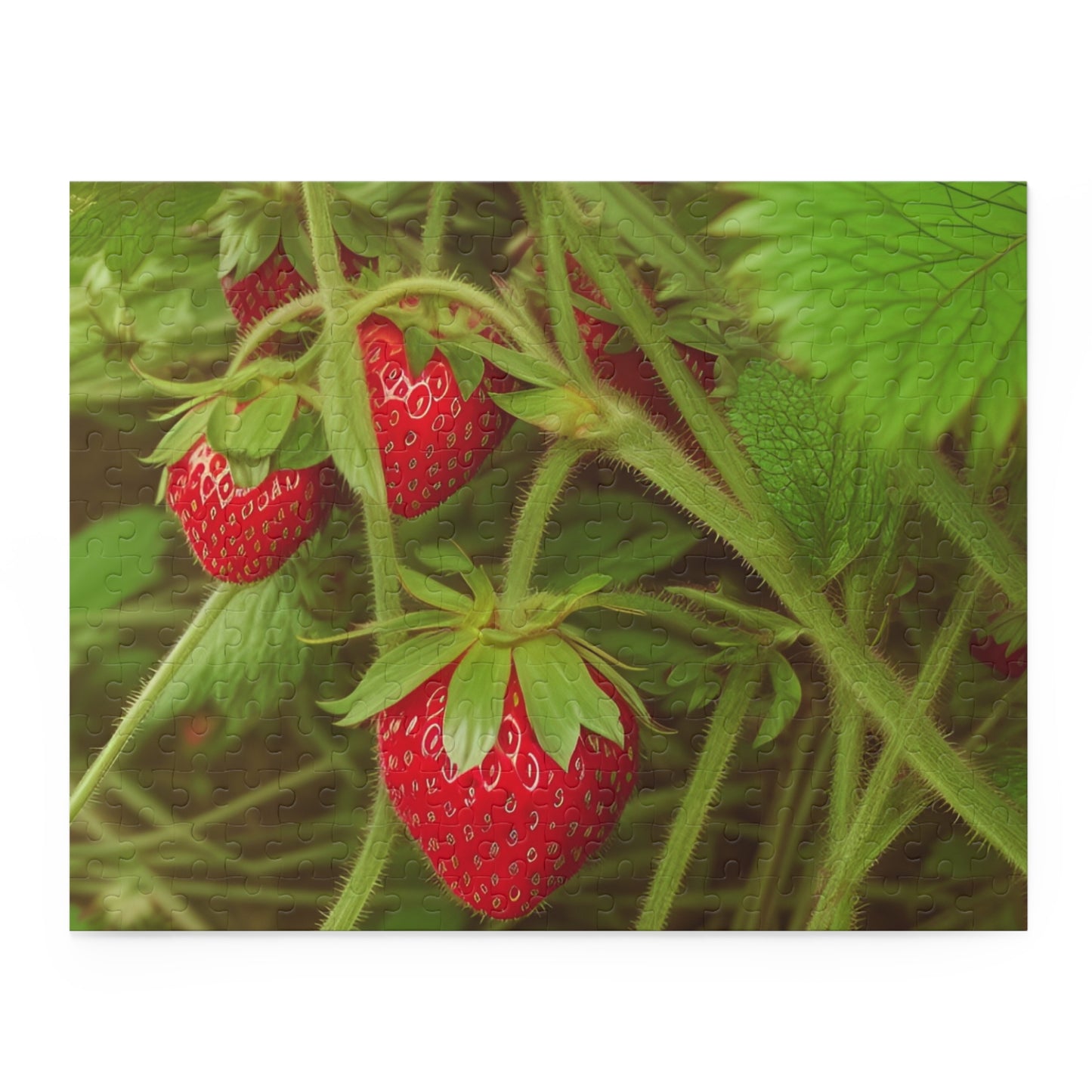 Strawberry Puzzle (SP Photography Collection 120, 252, 500-Piece)