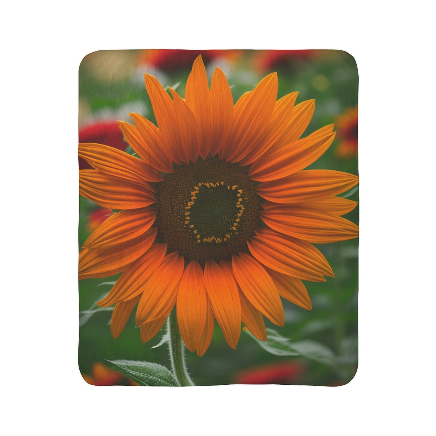 Orange Sunflower Fleece Sherpa Blanket (SP Photography Collection)