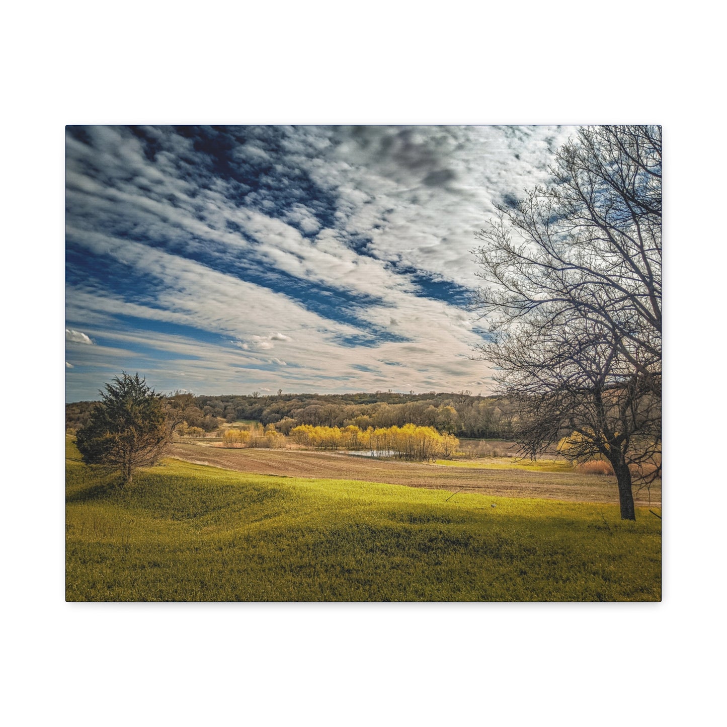 Rolling Clouds Wrap Canvas (SP Photography Collection) NAVY