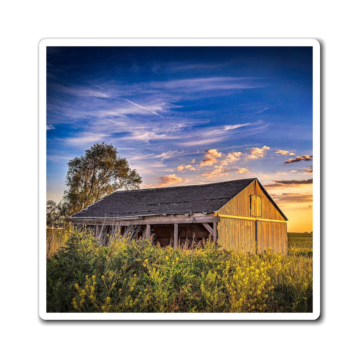 Beautiful Barn Magnet (SP Photography Collection)