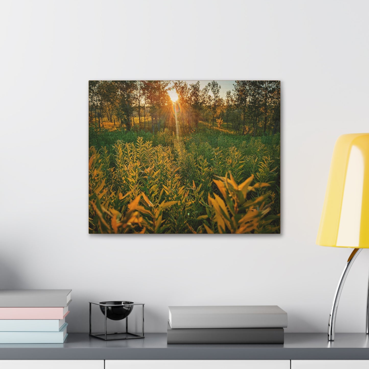 Sunset Fields Wrap Canvas (SP Photography Collection)