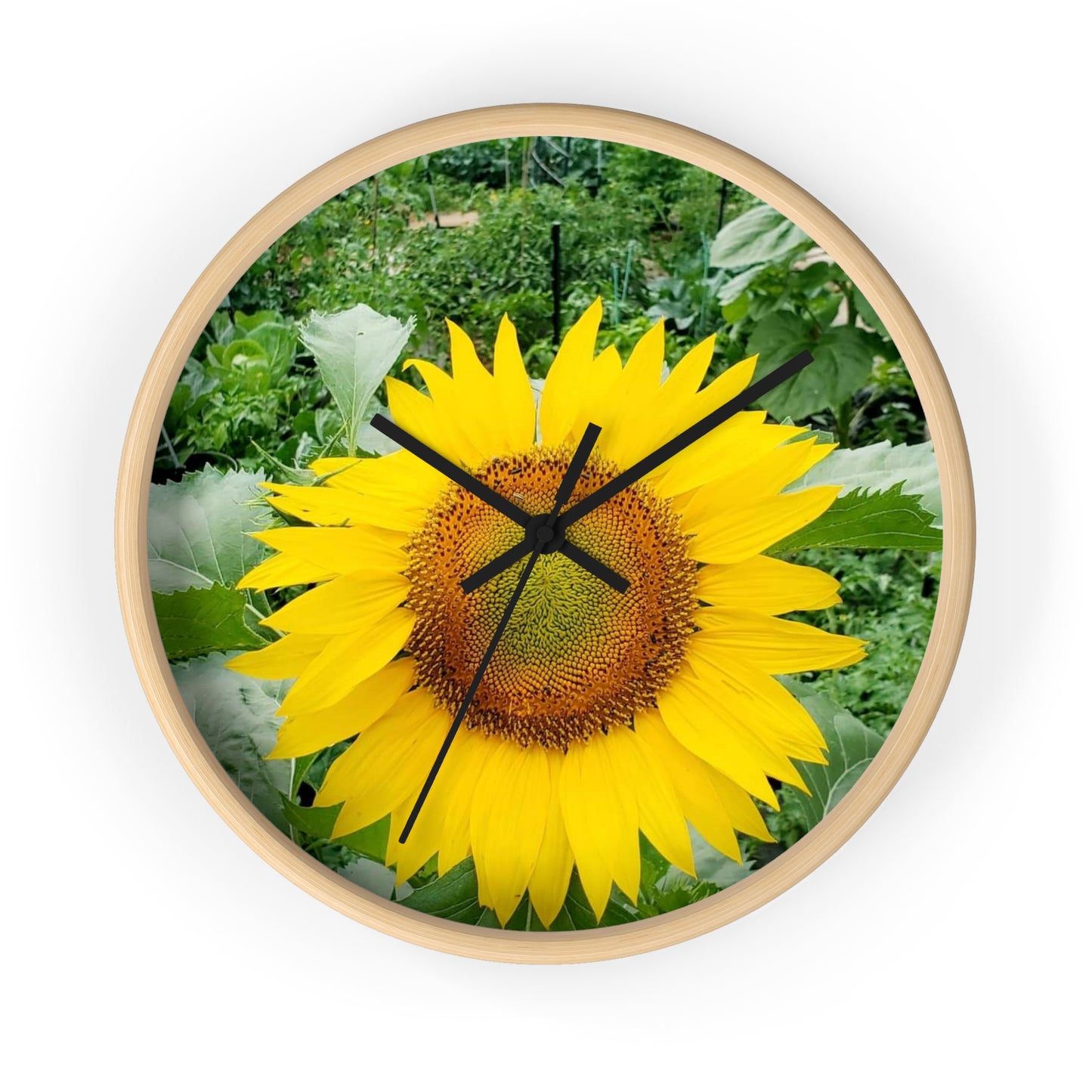 Yellow Sunflower Wall Clock (Enchanted Exposures By Tammy Lyne)