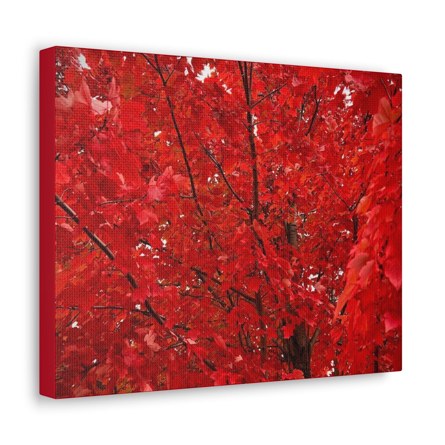 Fire Tree Canvas Gallery Wrap (Custom Creations By Catelyn)