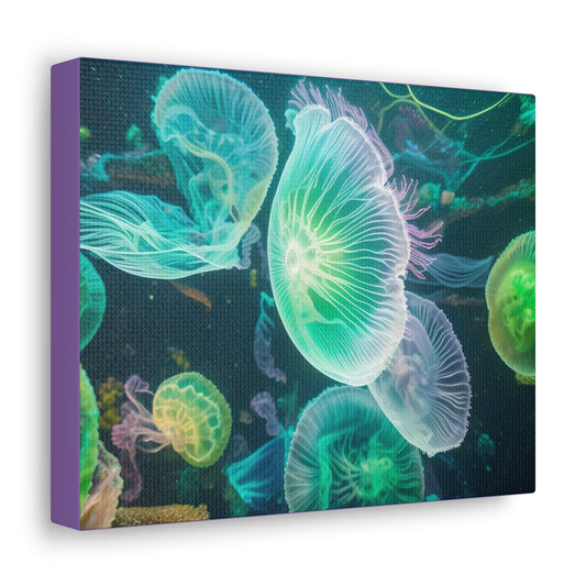 Jellyfish Canvas Gallery Wraps (SP Photography Collection)