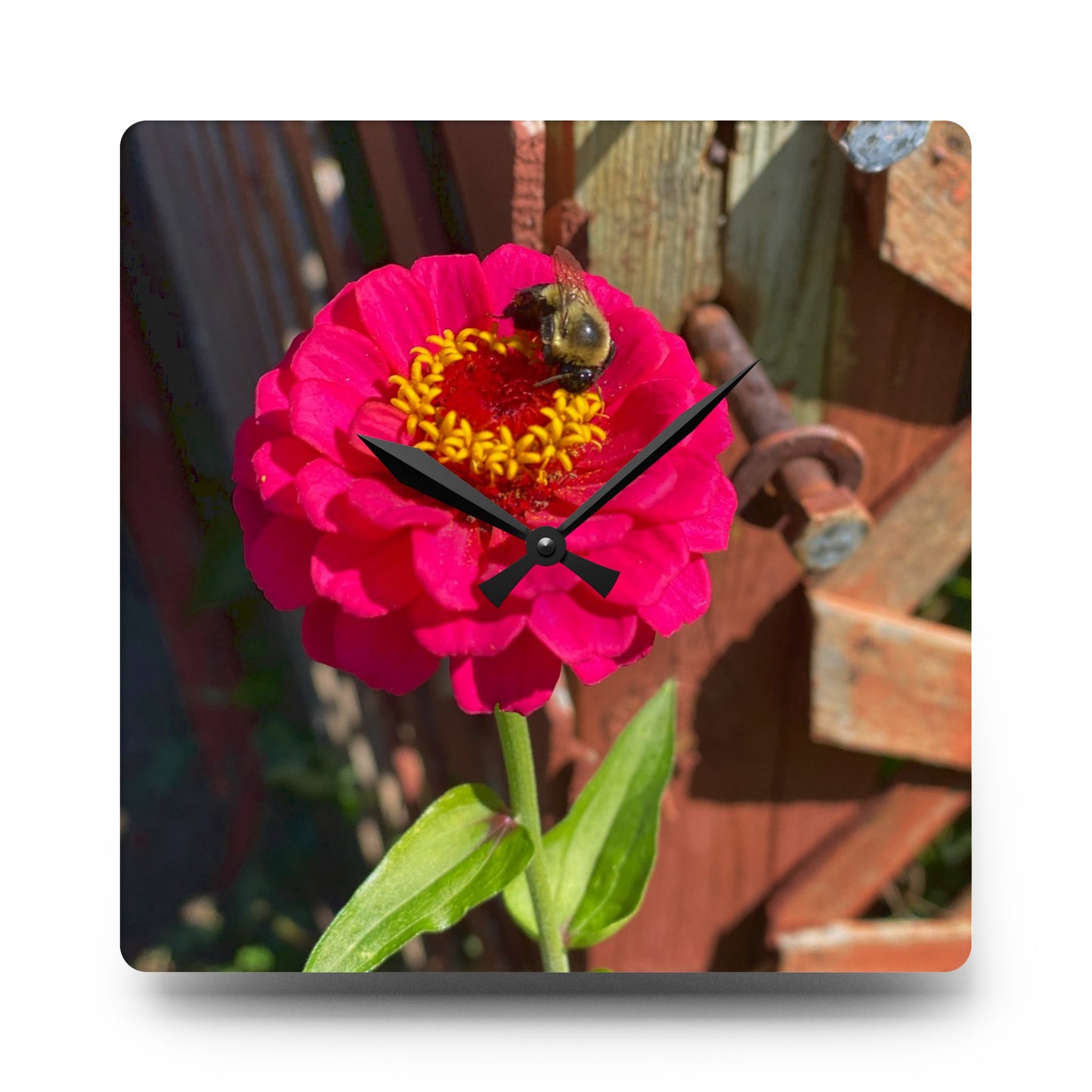 Bumble Bee Acrylic Wall Clock (Custom Creations By Catelyn)