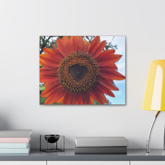 Heart Sunflower Gallery  Canvas Wrap (Enchanted Exposures By Tammy Lyne)