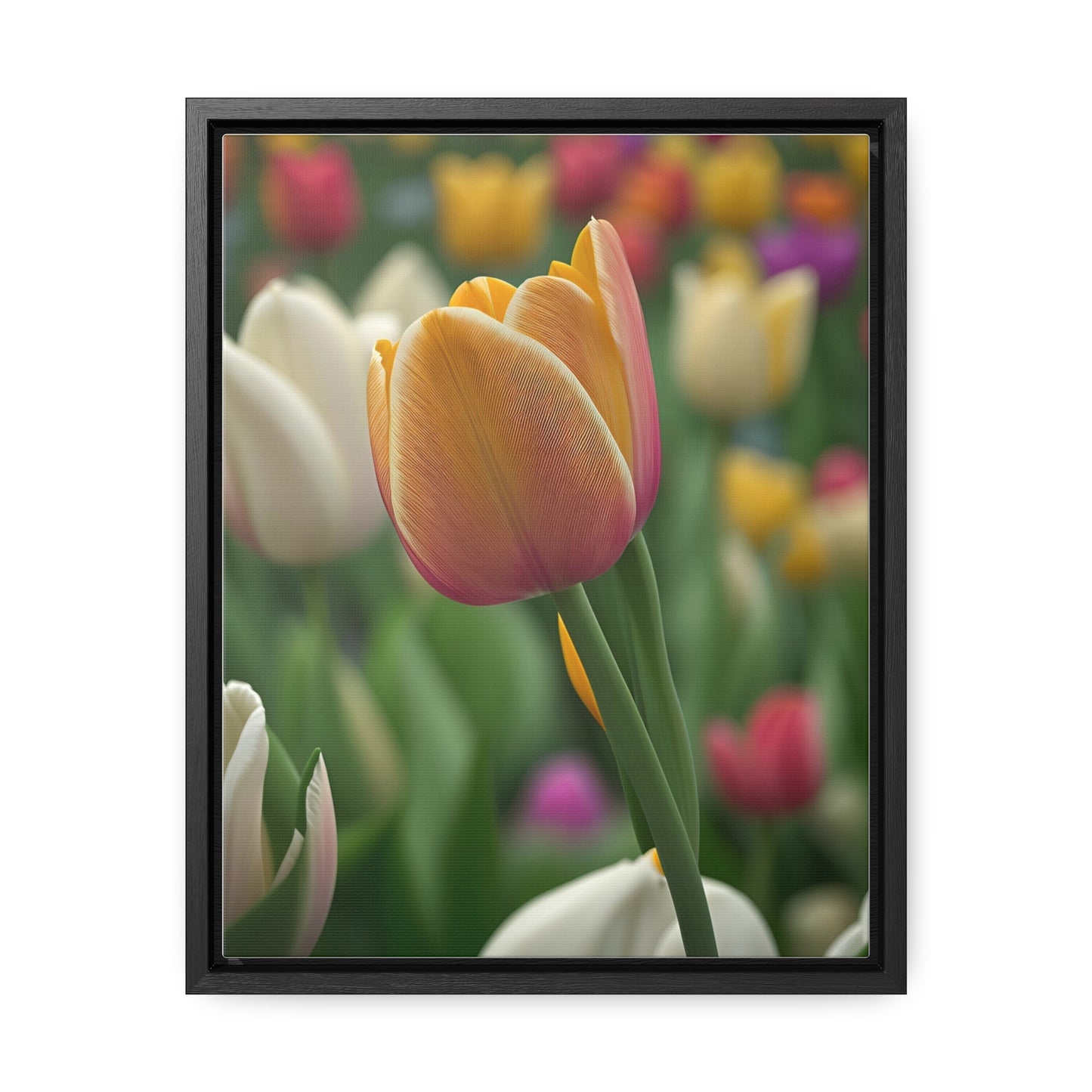 Orange Tulip Canvas Wraps, Vertical Frame (SP Photography Collection)