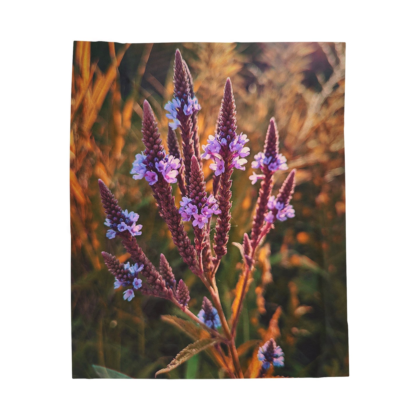 Purple Field Plush Blanket (SP Photography Collection)